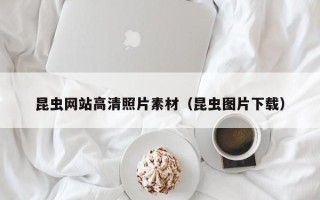 永安昆虫网站高清照片素材（昆虫图片下载）